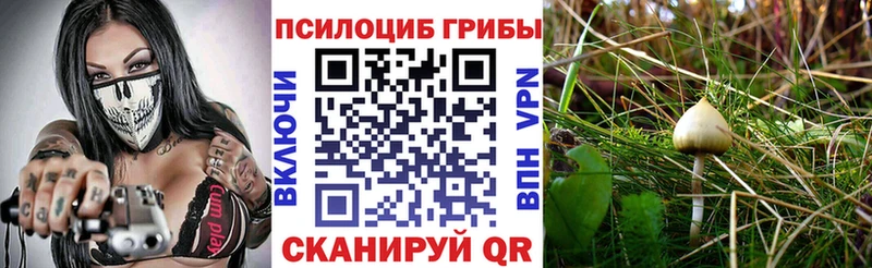 кракен рабочий сайт  Геленджик  Псилоцибиновые грибы MAGIC MUSHROOMS 
